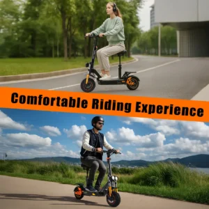 Trottinette électrique TWOFISH V5 1000W, batterie 48V18Ah