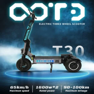 Trottinette électrique Pliable OOTD T30 13 inch Avec Siège