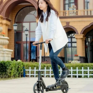 Yonis Trottinette Électrique Adulte Pliable Noir