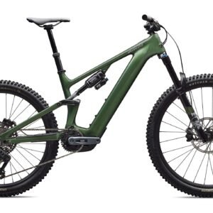Turbo Levo 4 Expert Specialized 2026 Gloss Cypress Metallic/Silver Dust