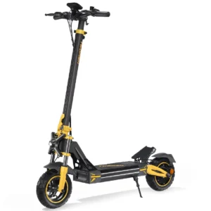 Trottinette TWOFISH V2 MAX 800W 48V 20Ah 50km