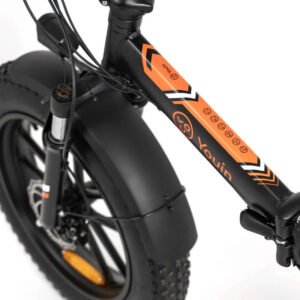 YOUIN Texas Vélo Electrique Pliant