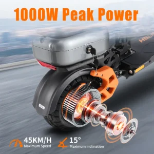 TWOFISH V5MAX Trottinette électrique pliable