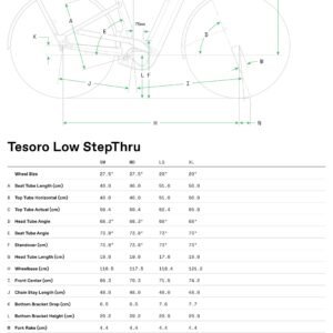 Tesoro Neo 2 Low Step-Thru Cannondale 2025 Storm Cloud