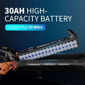 FREEBOY H9