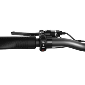 Joyor S10-S 2000W