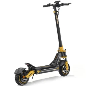 Trottinette TWOFISH V2 MAX 800W 48V 20Ah 50km